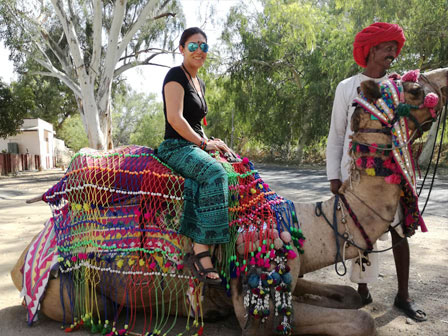 Decorado de camello en Pushkar, Rajasthan