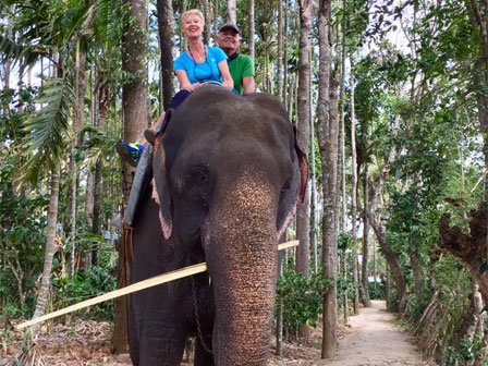 Elephant Ride, Munnar