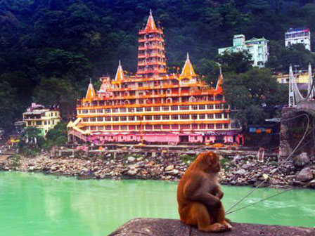 Templo Kailash, Niketan