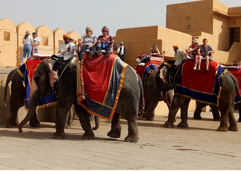 Paseo en elefante Jaipur