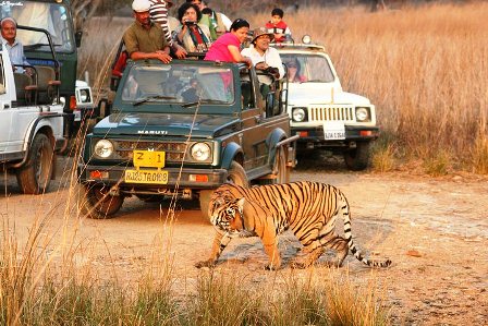 La Tigre de Ranthambore